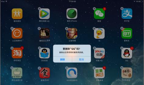 提升iPad性能的小技巧（掌握这个关键技巧，让你的iPad更加顺畅流畅）