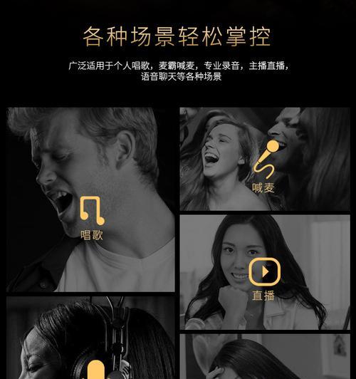 T3000麦克风（打造专业录音体验的全新选择）