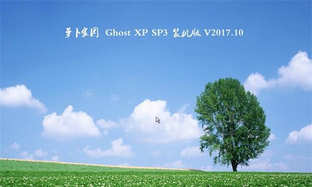萝卜家园XP安装教程——让你轻松拥有经典操作系统（详解XP安装步骤，快速搭建个人电脑环境）