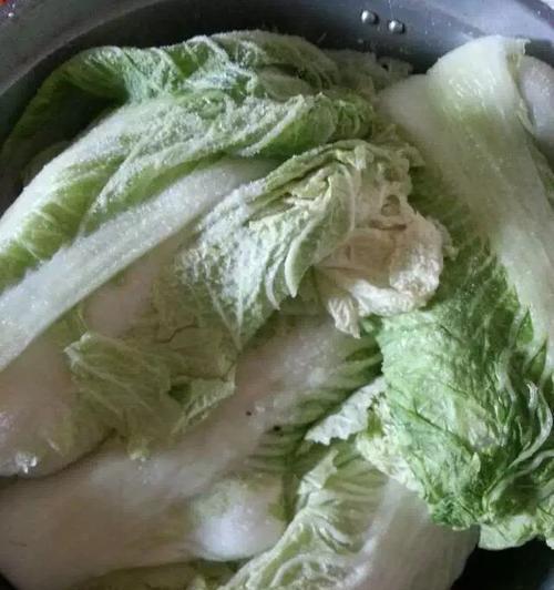 大白菜自制系统教程——打造自己的个性化系统（学习制作大白菜自制系统，轻松打造独特的操作平台）